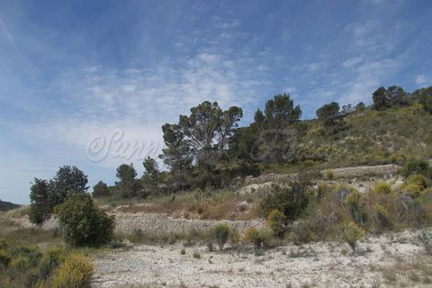 Cave house i Abanilla, Murcia, Abanilla - € 49.000 | Ref: SF0070 - foto 7